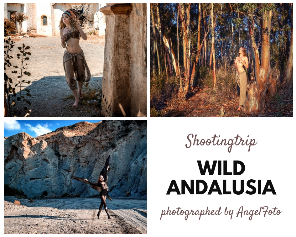 wild andalusia